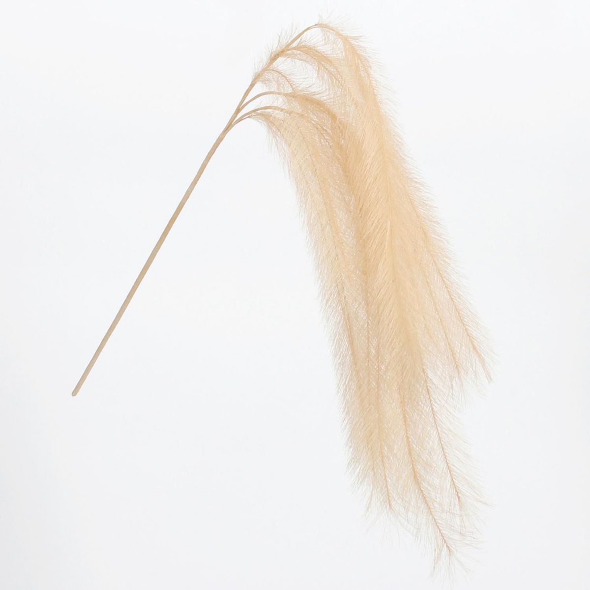 JUST HOME COLLECTION - Vara Cola De Zorro Amari 120Cm