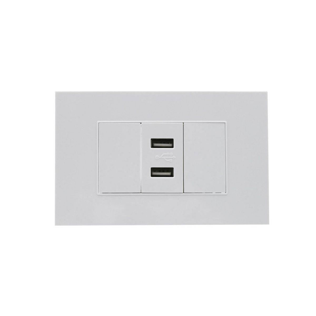 HALUX - Tomacorriente Doble USB Cygnus Blanco