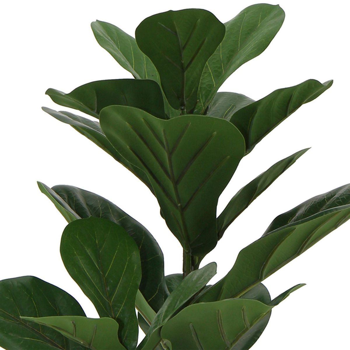 JUST HOME COLLECTION - Planta Artificial Ficus Lirata 83