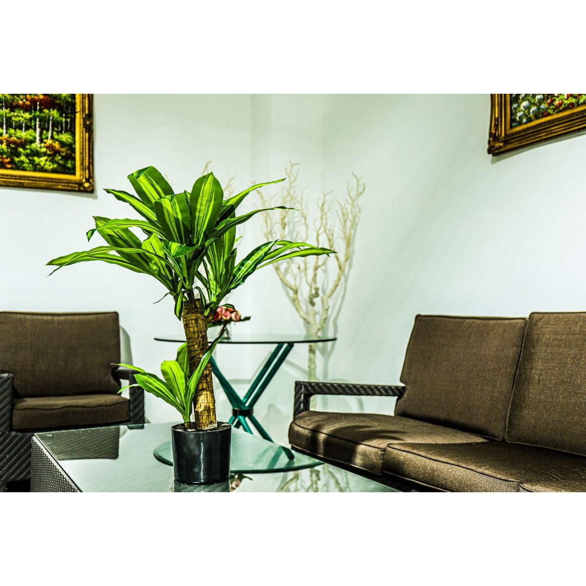 JUST HOME COLLECTION - Planta Artificial Dracenea Verde 91cm