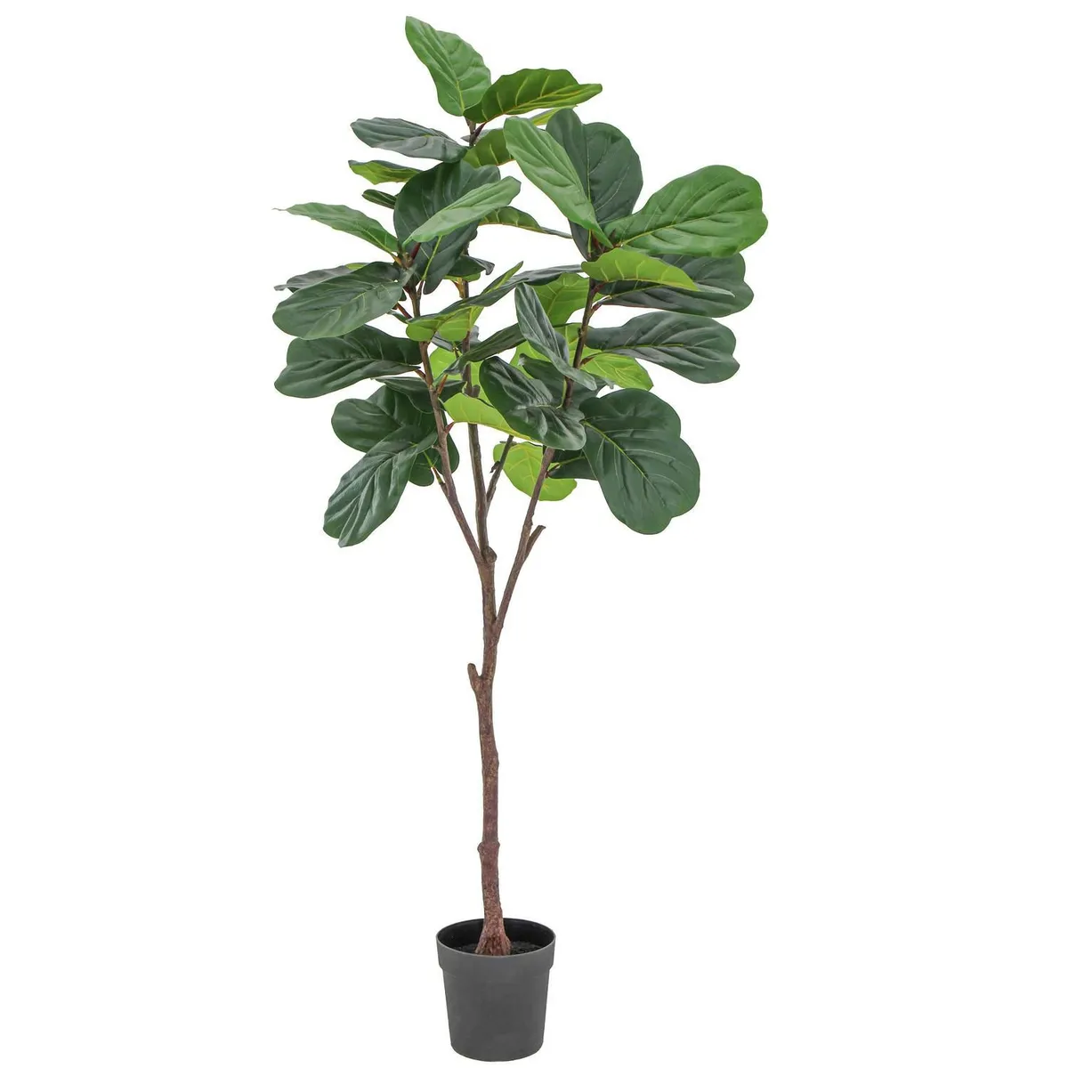 JUST HOME COLLECTION - Planta Artificial Ficus Lyrata Verde 188cm