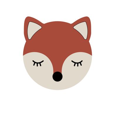 Individual Infantil Zorro