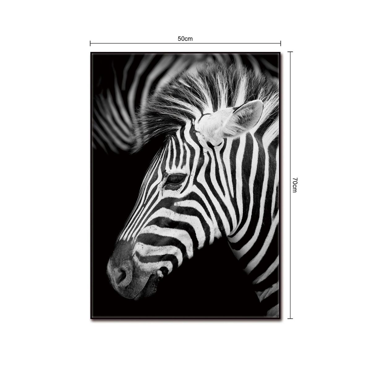 HOMY - Cuadro Acrílico Jira2 50x70cm