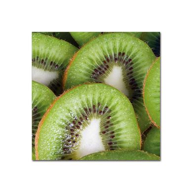 Cuadro Canvas Acrilico Fru3 40X40Cm