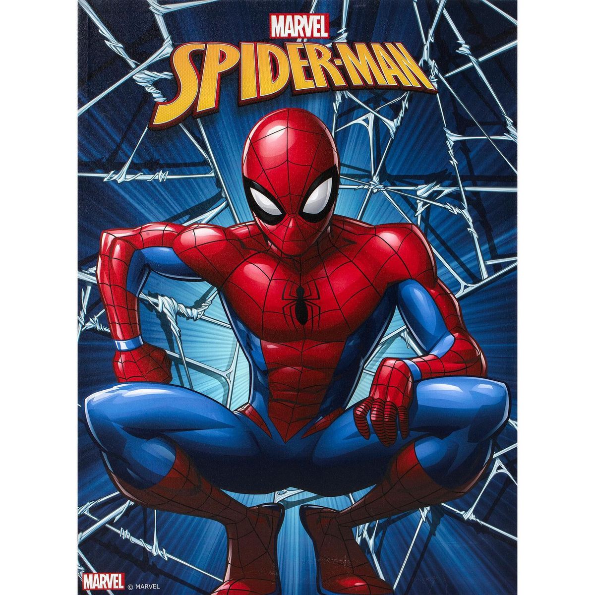 MARVEL - Cuadro Canvas Marvel4 57X77 CM