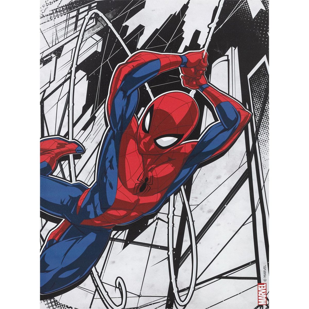 MARVEL - Cuadro Canvas Marvel5 57X77 CM