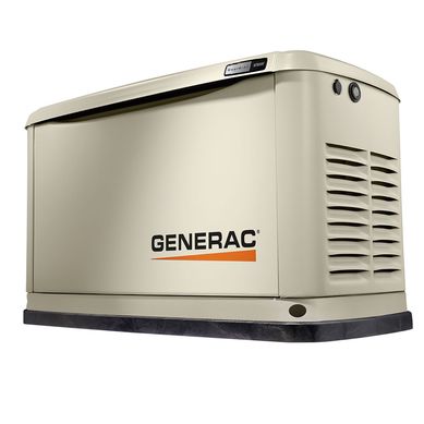 GENERADOR A GAS HSB 10000W