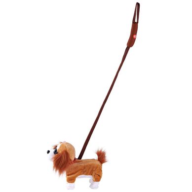 Perro Camina con Correa 90cm