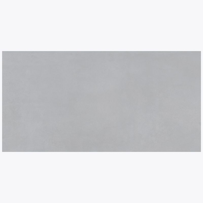 PAMESA - Porcelanato Gris Cementicio 60x120cm 1.44m2