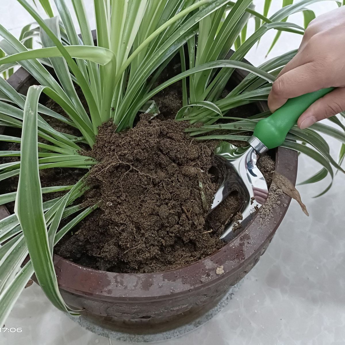 ERGO - Set 11 Piezas Herramientas para Jardín