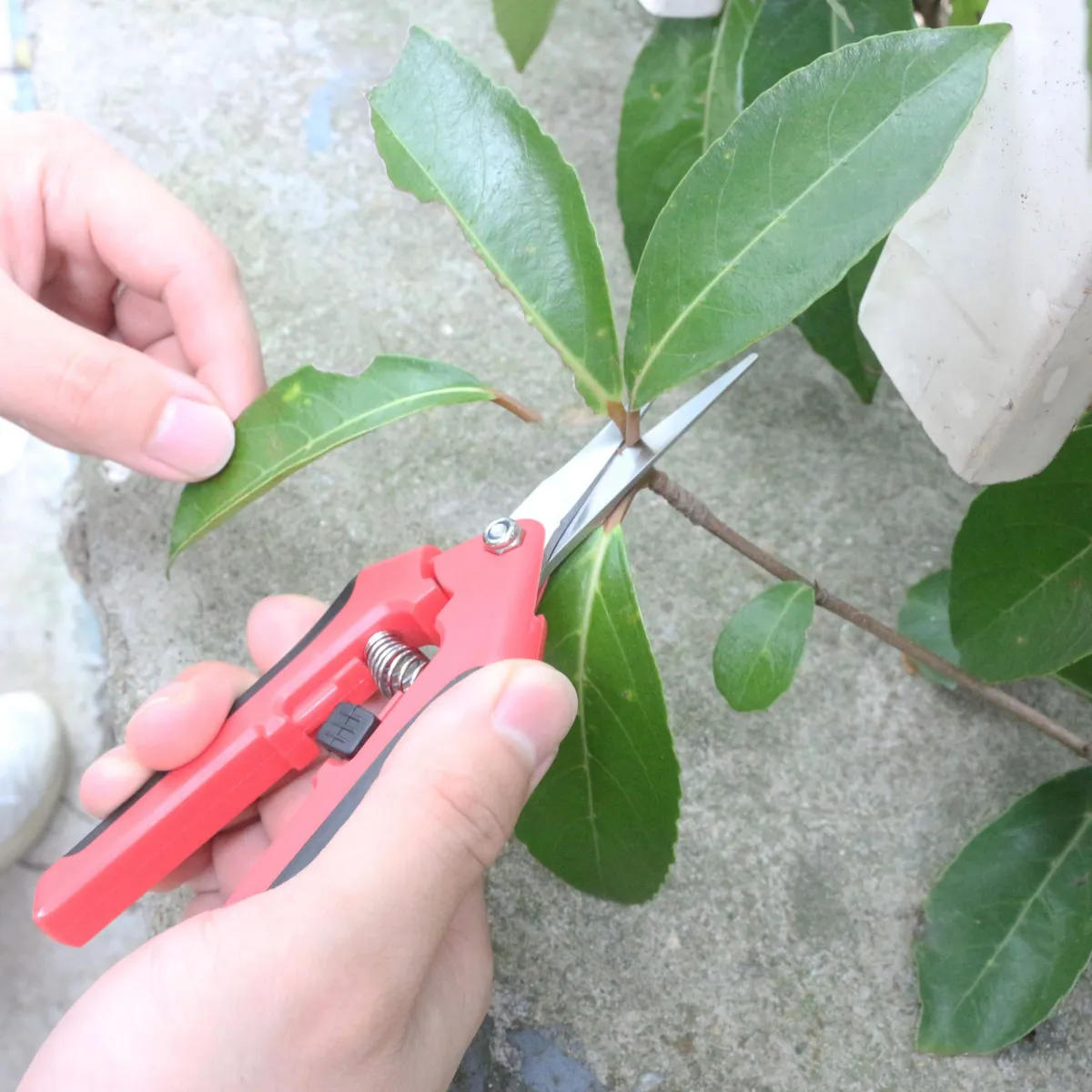 ERGO - Tijera para Jardín de Acero Inoxidable 16.5cm