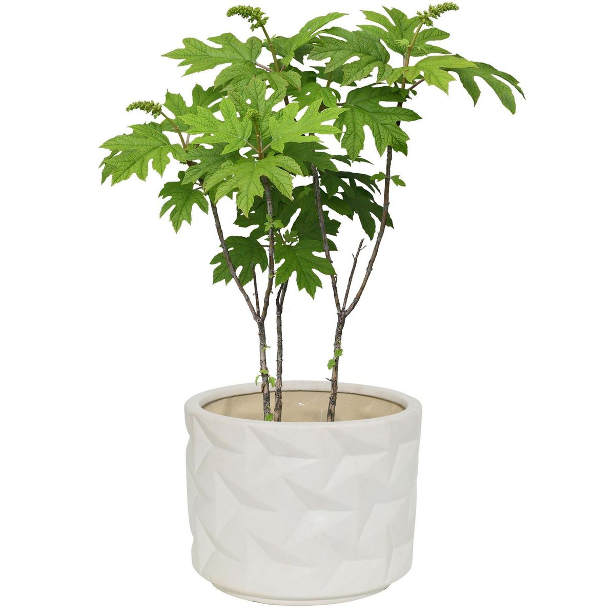 JUST HOME COLLECTION - Macetero Mikonos Blanco 26x22cm