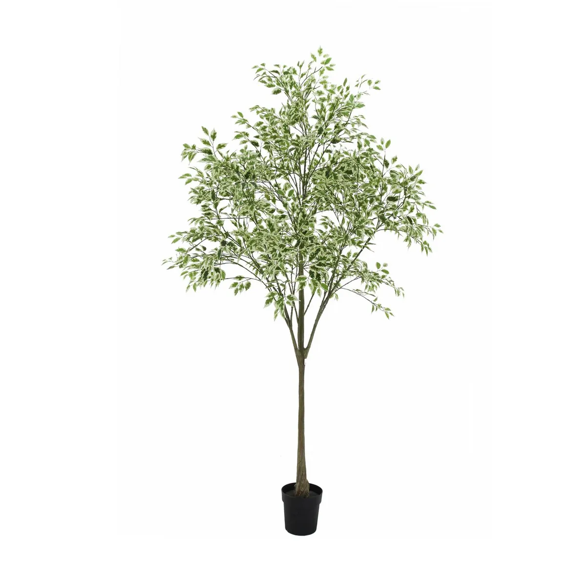 JUST HOME COLLECTION - Planta Artificial Ficus Verde 250cm