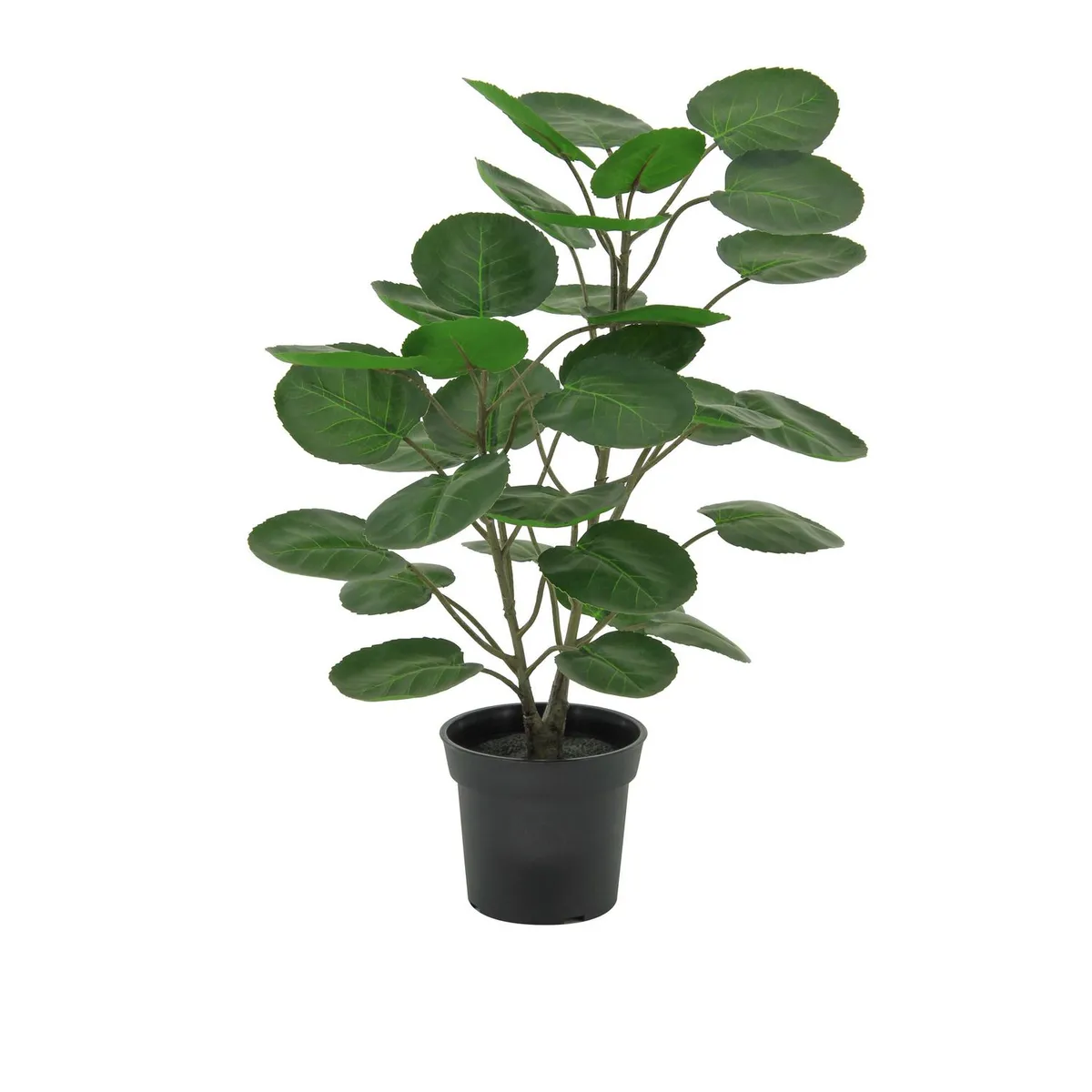 JUST HOME COLLECTION - Planta Artificial Polysc 60cm