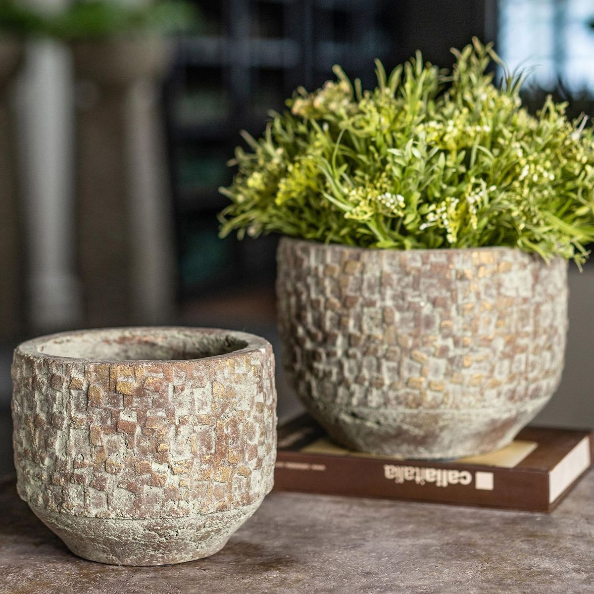 JUST HOME COLLECTION - Maceta Tipo Cemento 22x16cm