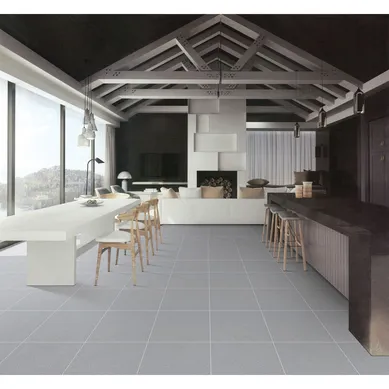 Gres Porcelanico Gris Cementicio 60x60cm 1.44m2