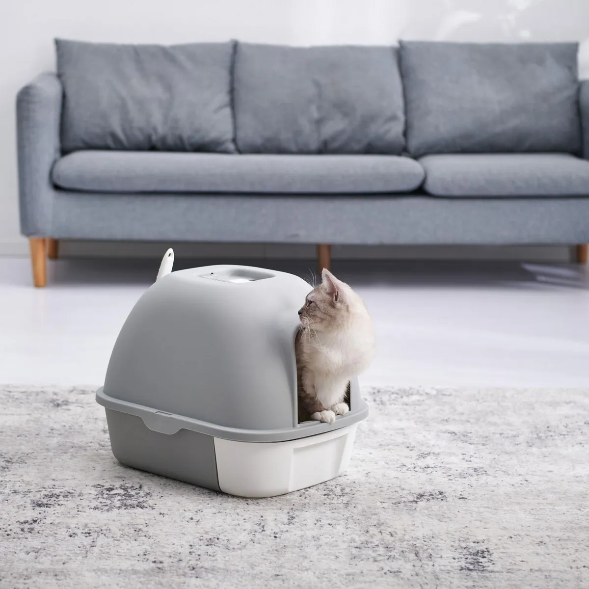 PETIZOOS - Arenero para Gato con Puerta