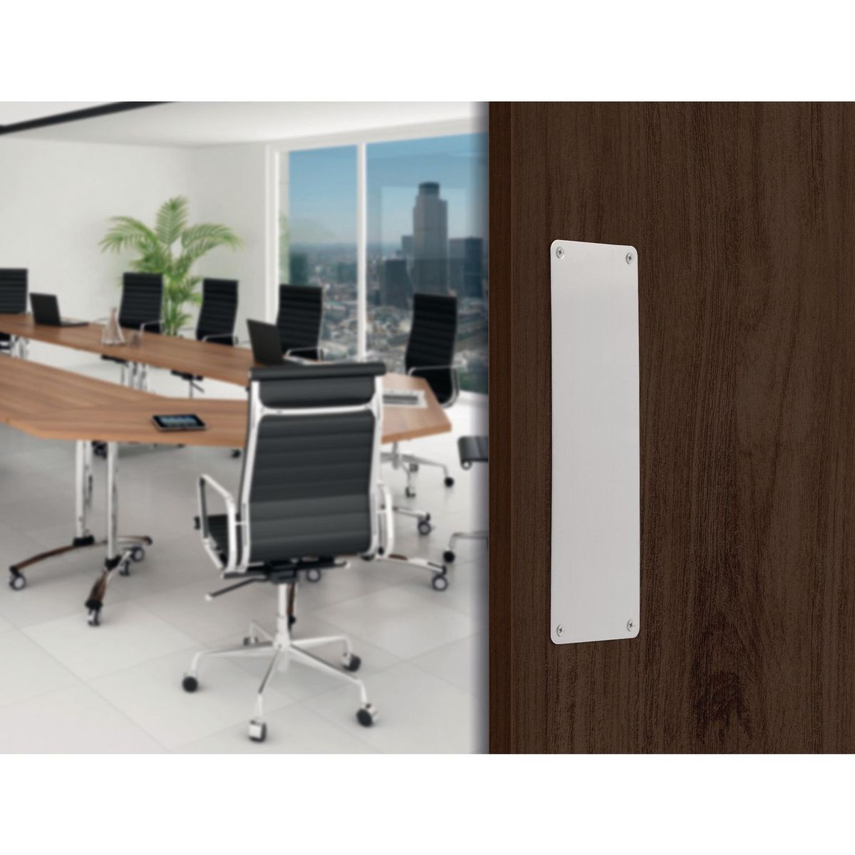 DEXTER - Placa Empuje 30Cm X10Cm Acero