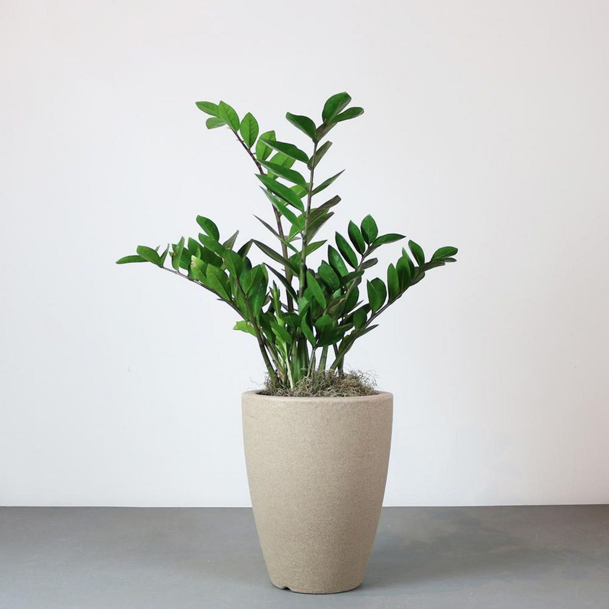 JUST HOME COLLECTION - Maceta Cono Arena 38x55cm