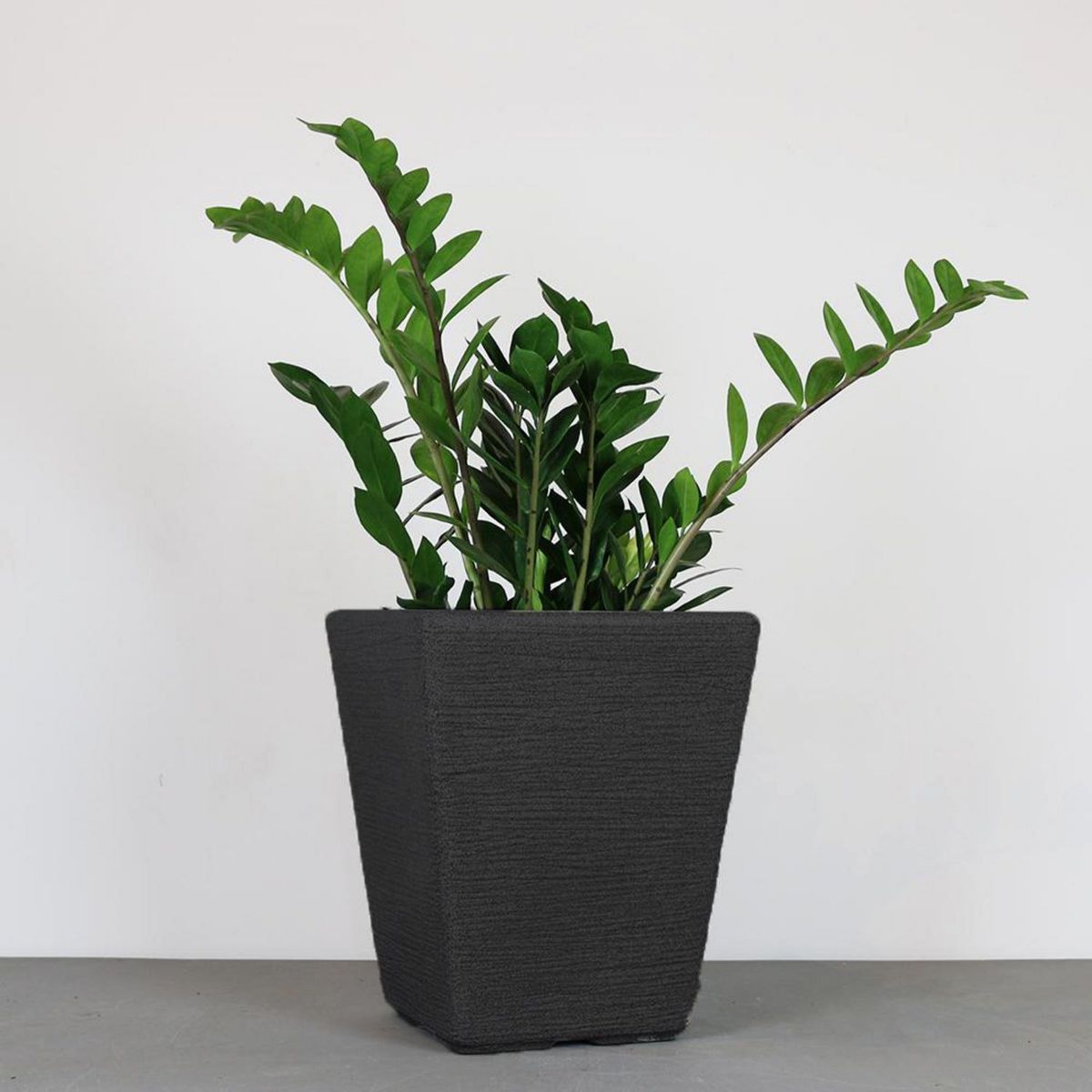 JUST HOME COLLECTION - Maceta Trapezio Negro 30x35cm