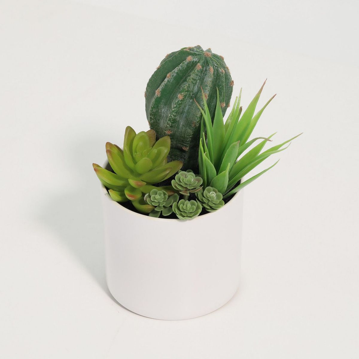JUST HOME COLLECTION - Cactus Artificial 18cm