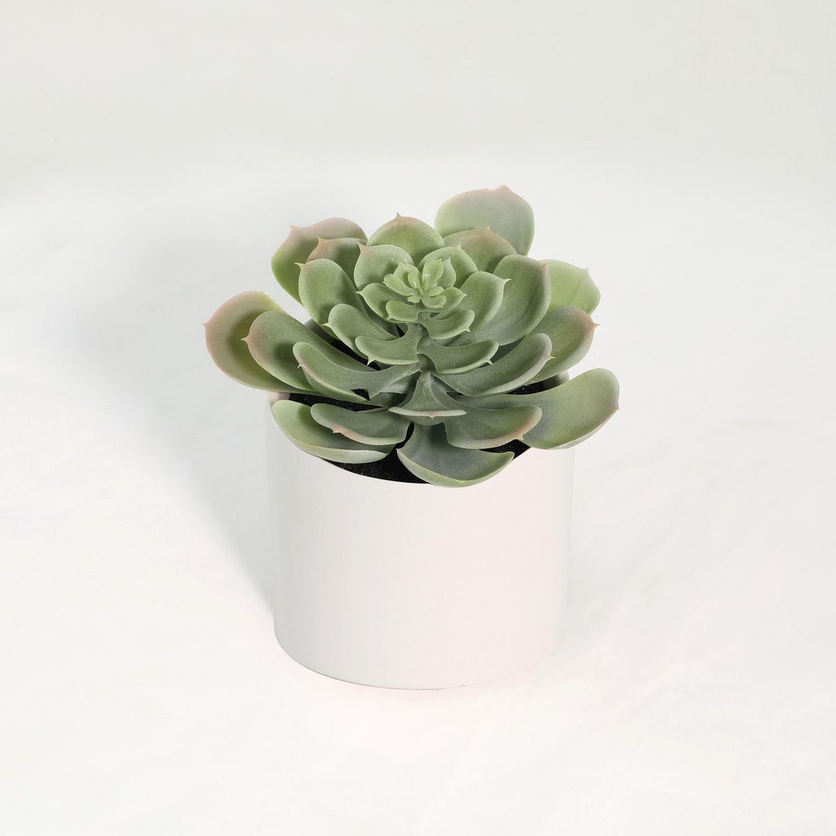 JUST HOME COLLECTION - Suculenta Artificial de 18cm