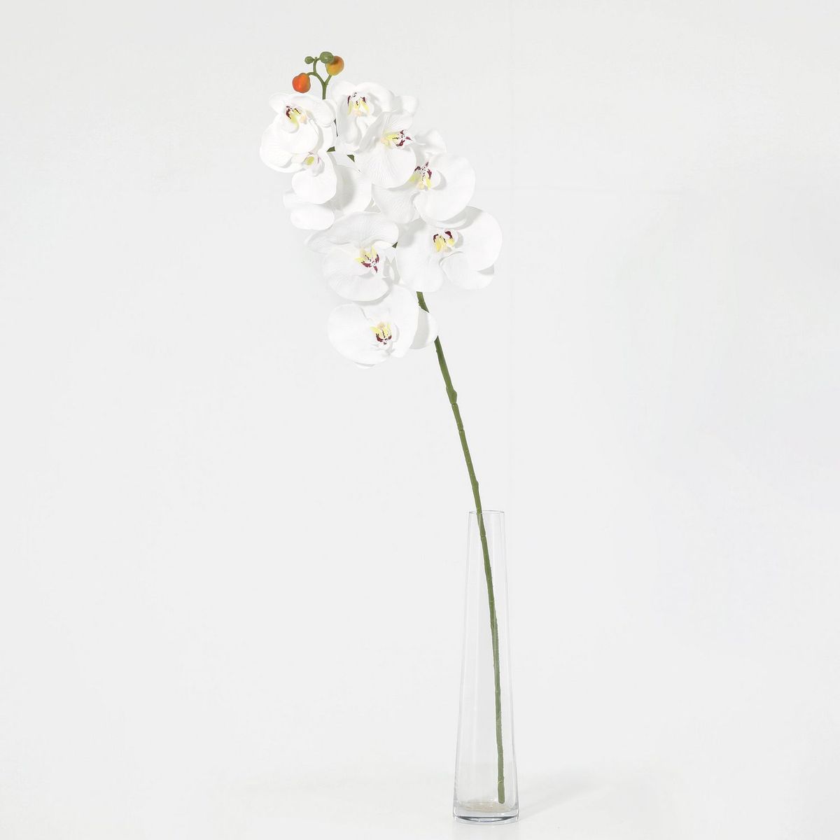JUST HOME COLLECTION - Vara de Flor Artificial Orquidea Blanca 78cm