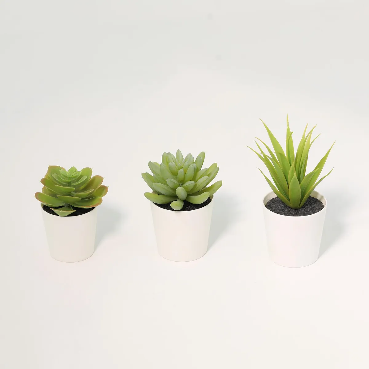 JUST HOME COLLECTION - Set de 3 Suculentas Artificiales 14cm