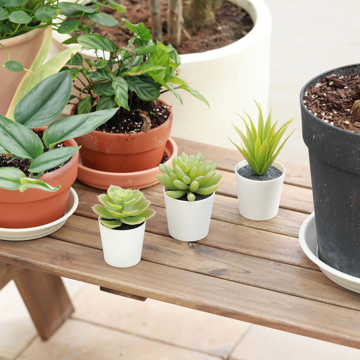 JUST HOME COLLECTION - Set de 3 Suculentas Artificiales 14cm