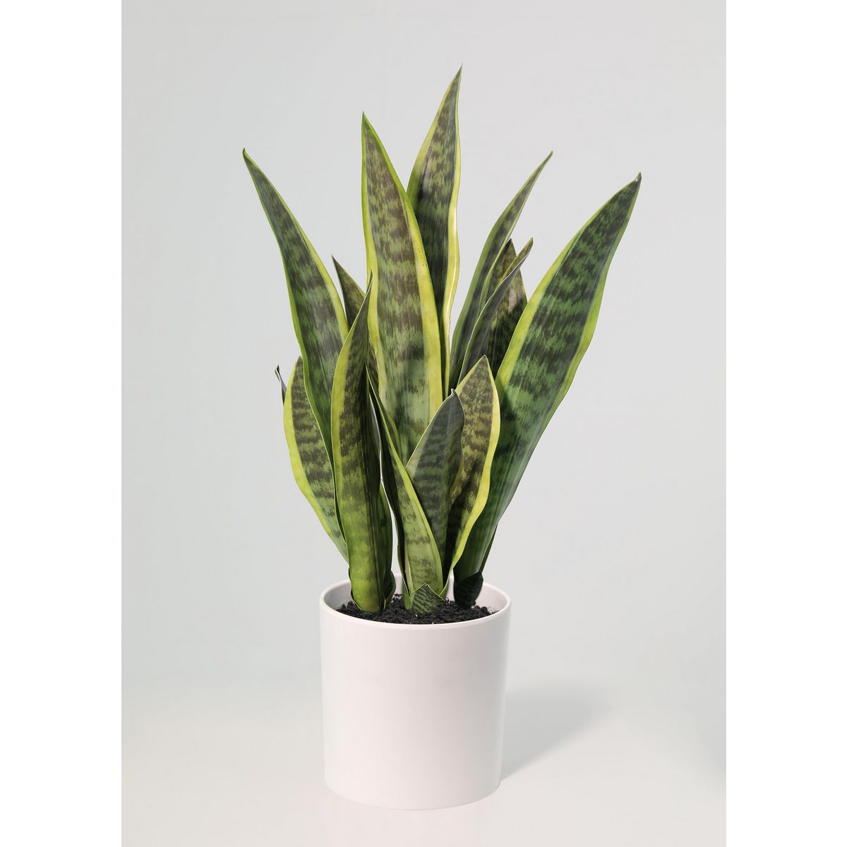 JUST HOME COLLECTION - Planta Artificial Sansevieria 70 cm