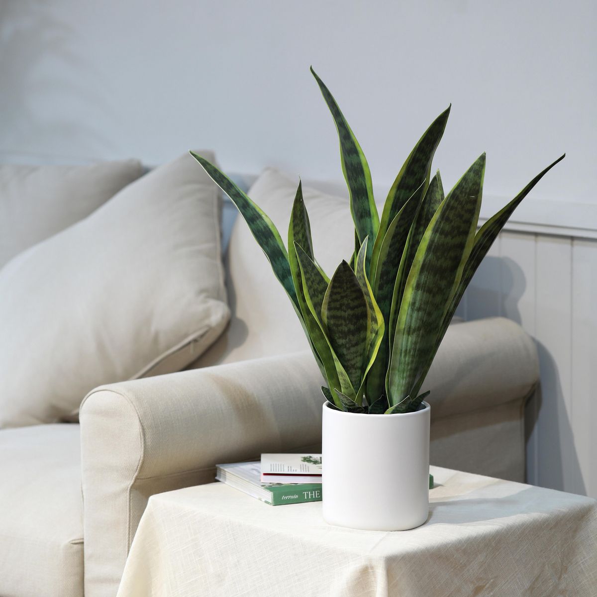 JUST HOME COLLECTION - Planta Artificial Sansevieria 70 cm