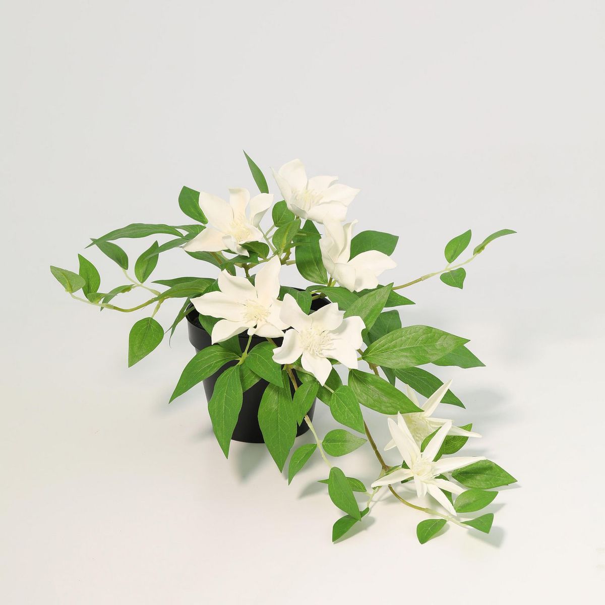 JUST HOME COLLECTION - Planta Artificial Clematis Blanca 23cm