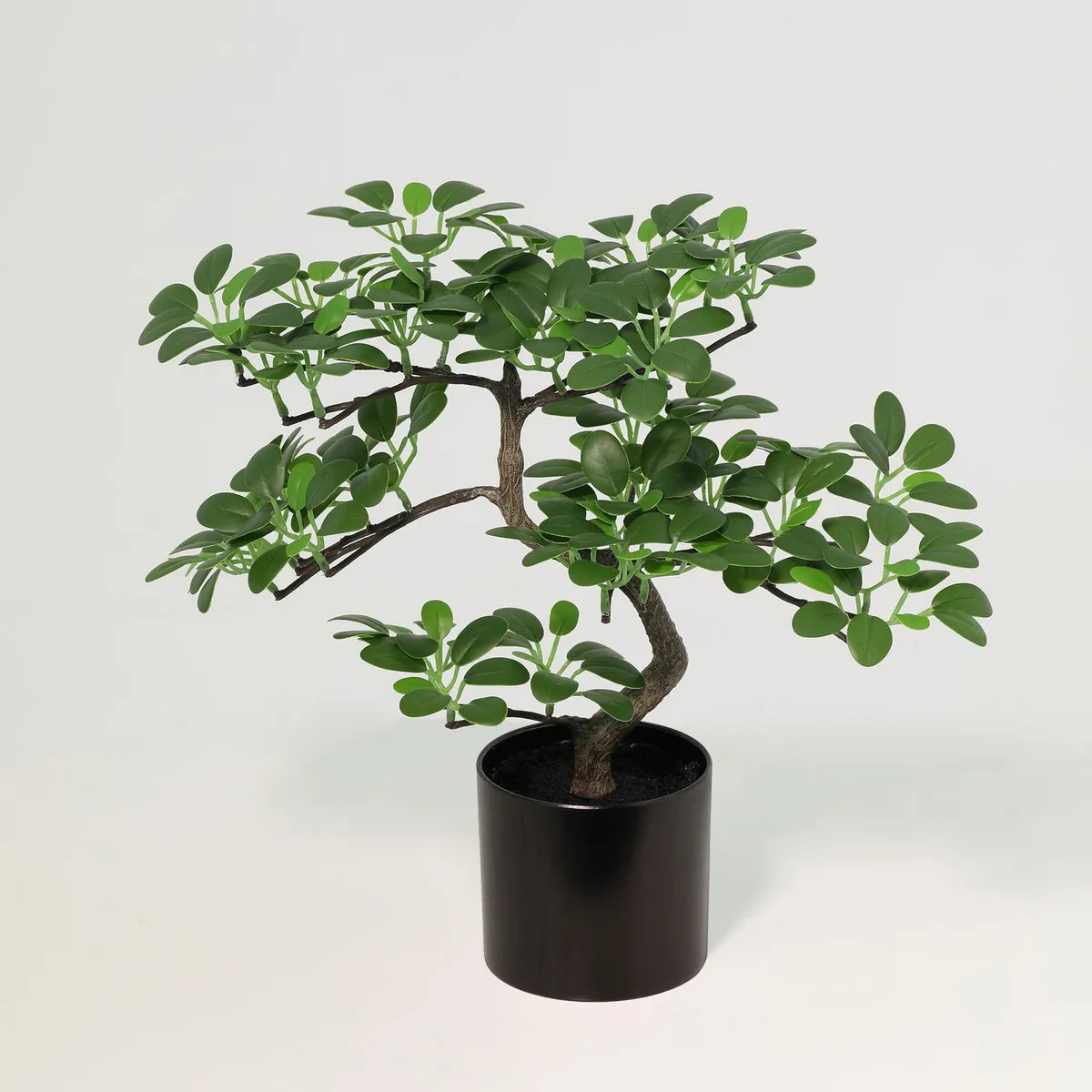 JUST HOME COLLECTION - Arbol Bonsai Artificial 24cm