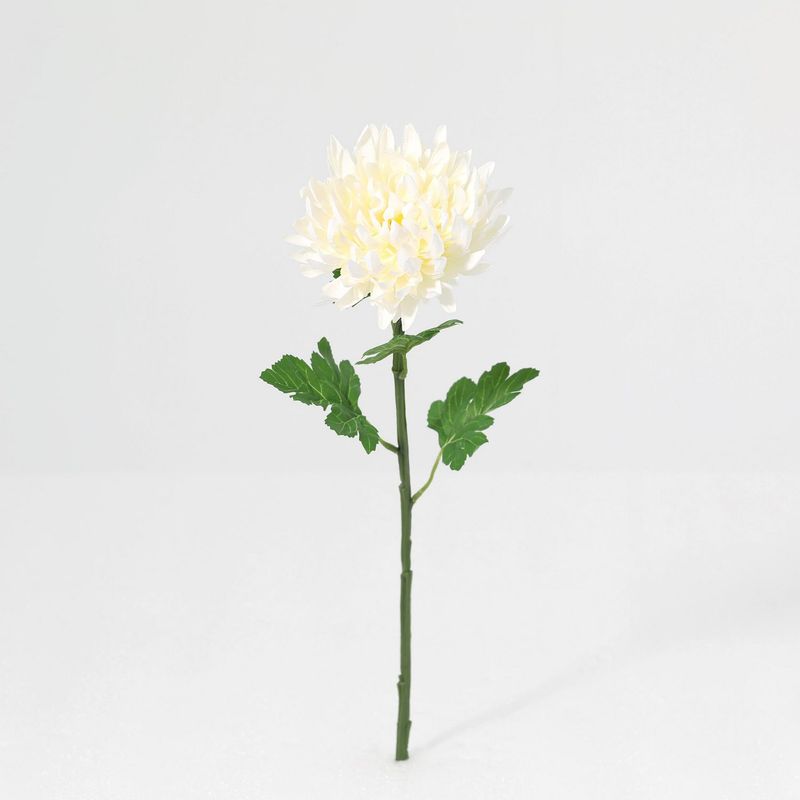 JUST HOME COLLECTION - Vara Mum Artificial Crema 18x55x18cm