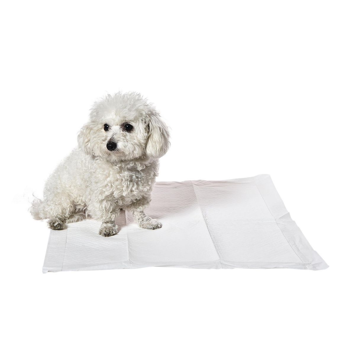 PETIZOOS - Juego 100 Pads Entrenamiento Mascotas