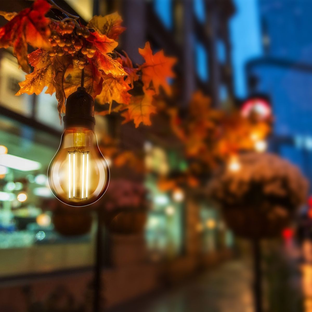 DAIRU - Foco LED A60 E27 6W Luz Fría