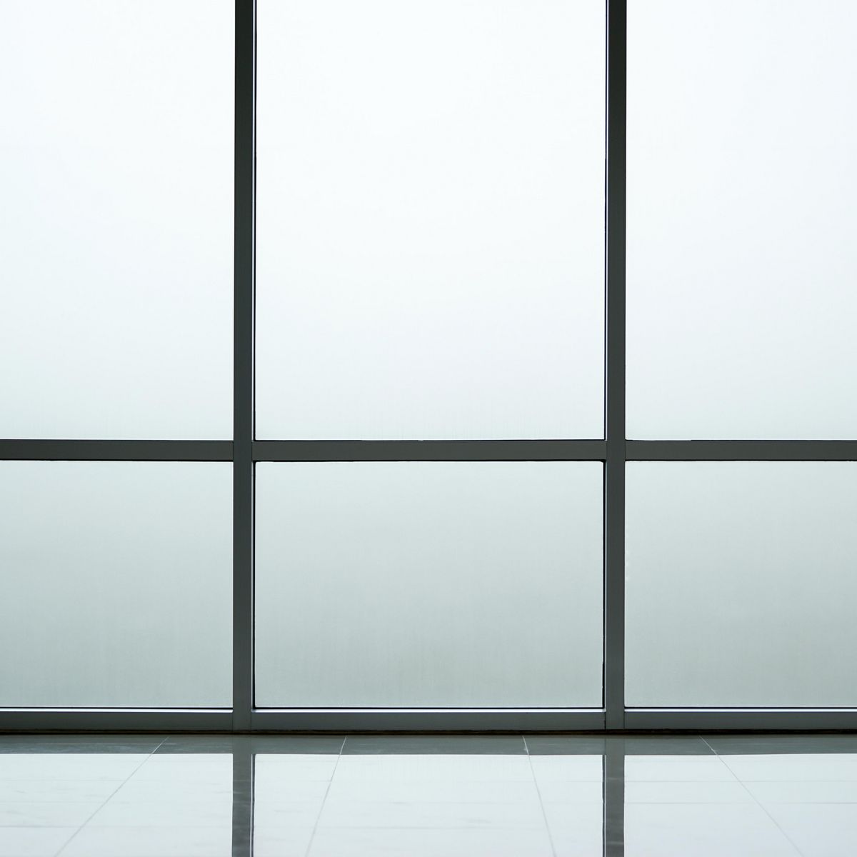 HOLZTEK - Lámina de Privacidad Frosted 1x1m