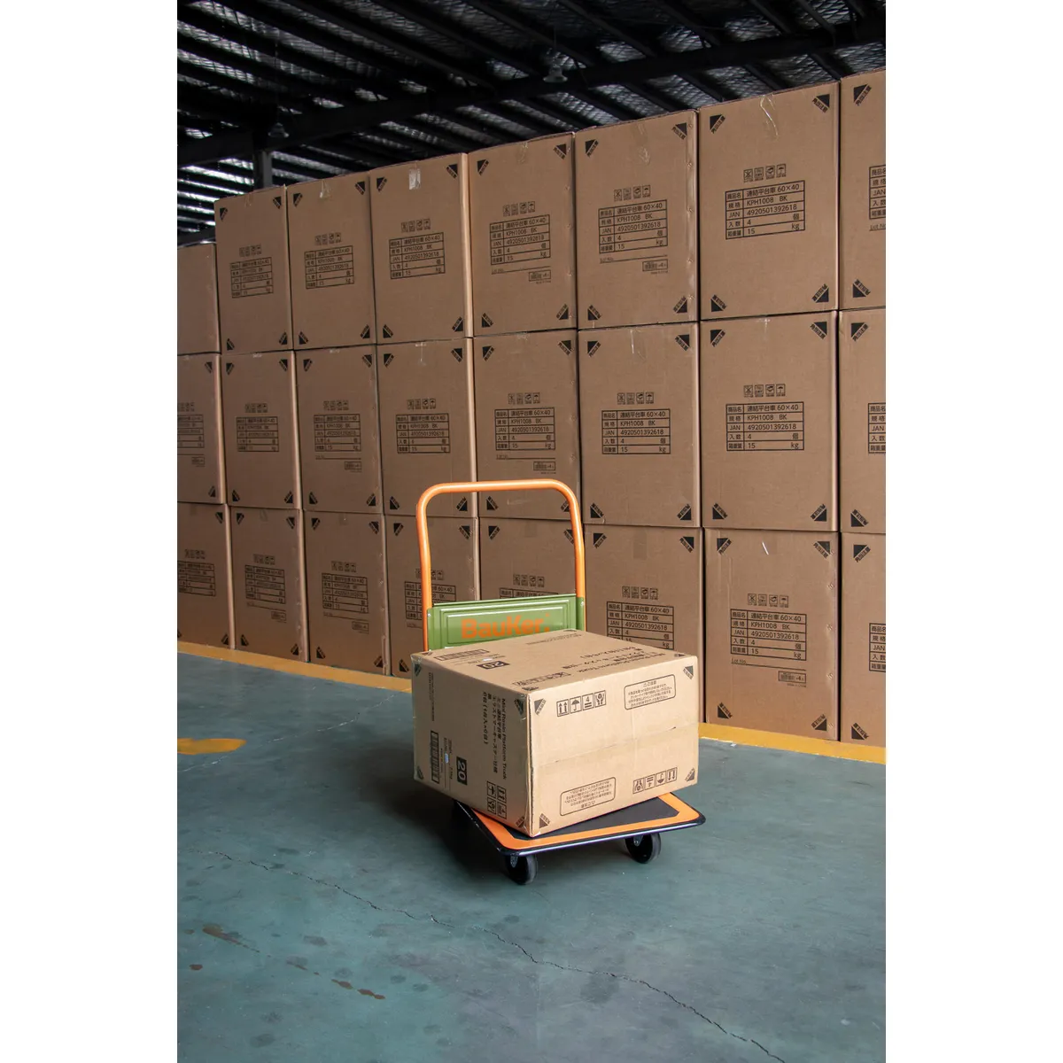 BAUKER - Carro de Carga Trabajo Liviano 150Kg