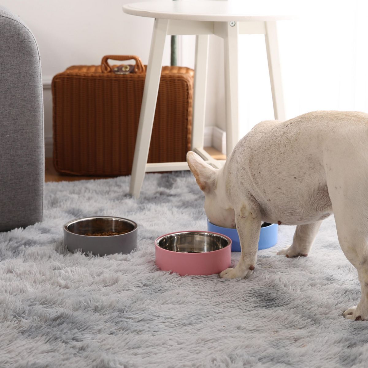 PETIZOOS - Comedero de Acero para Mascota