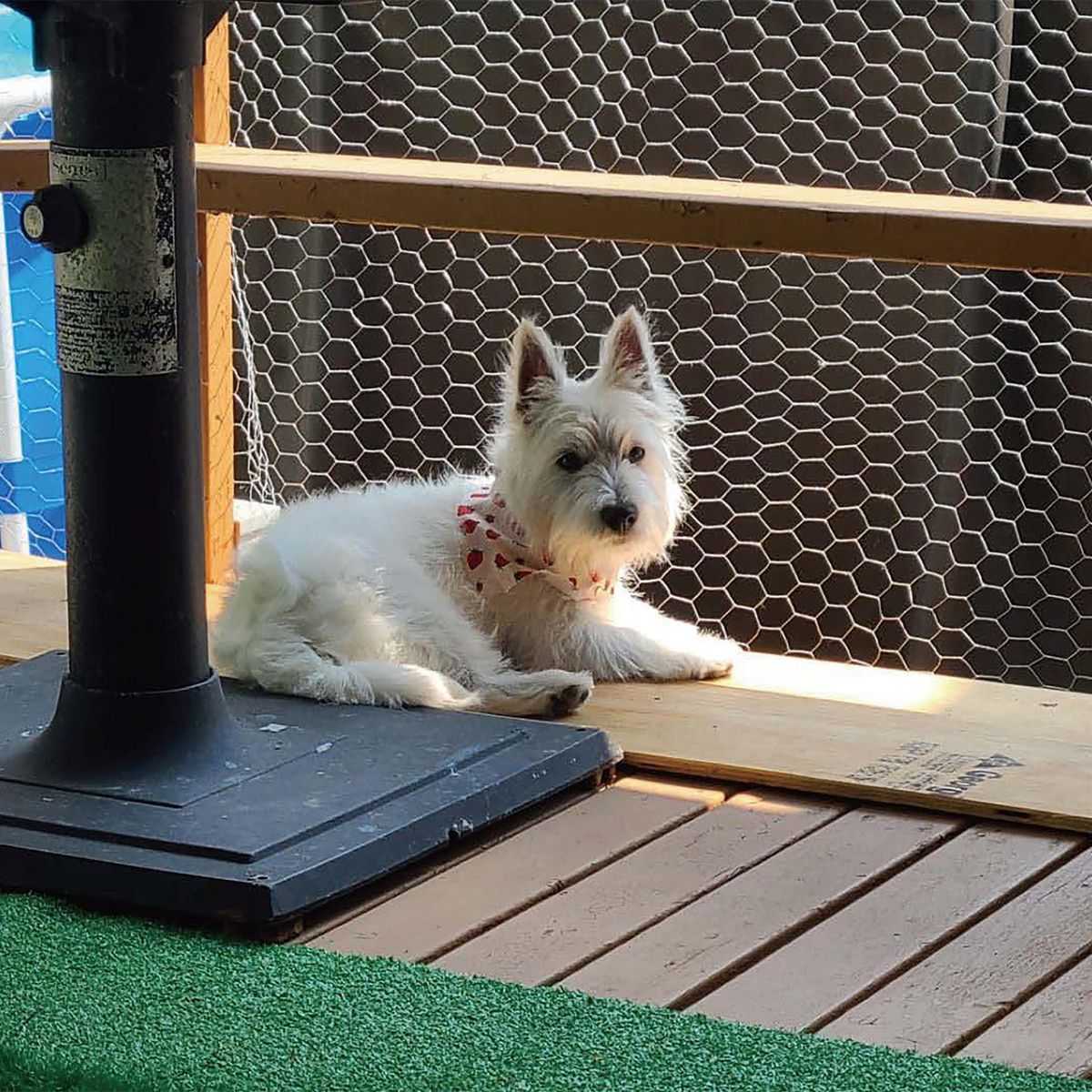 FIXSER - Malla Galvanizada 3/4 0.6x10m