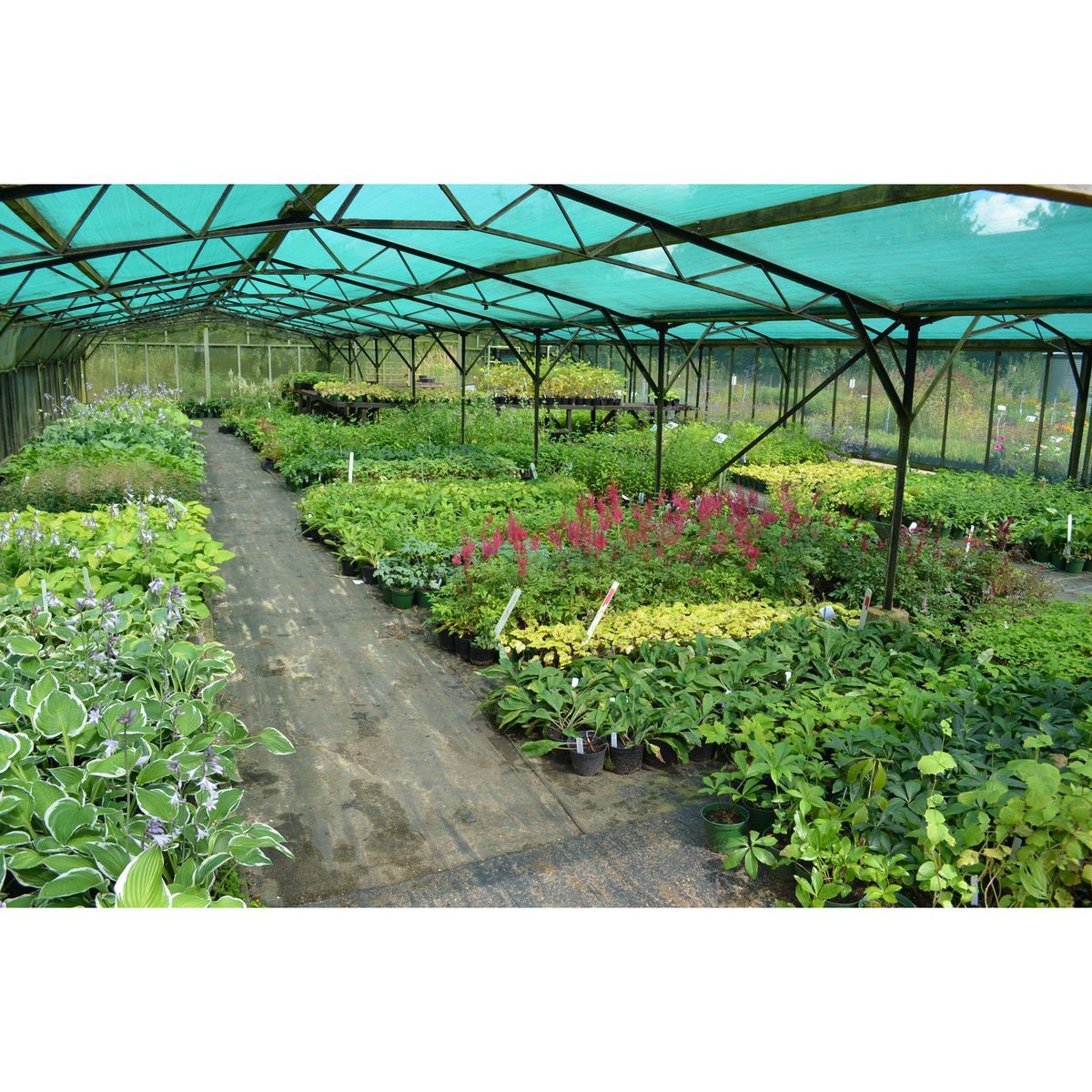 TOPEX - Malla Raschel 60P Verde 2.1x5m