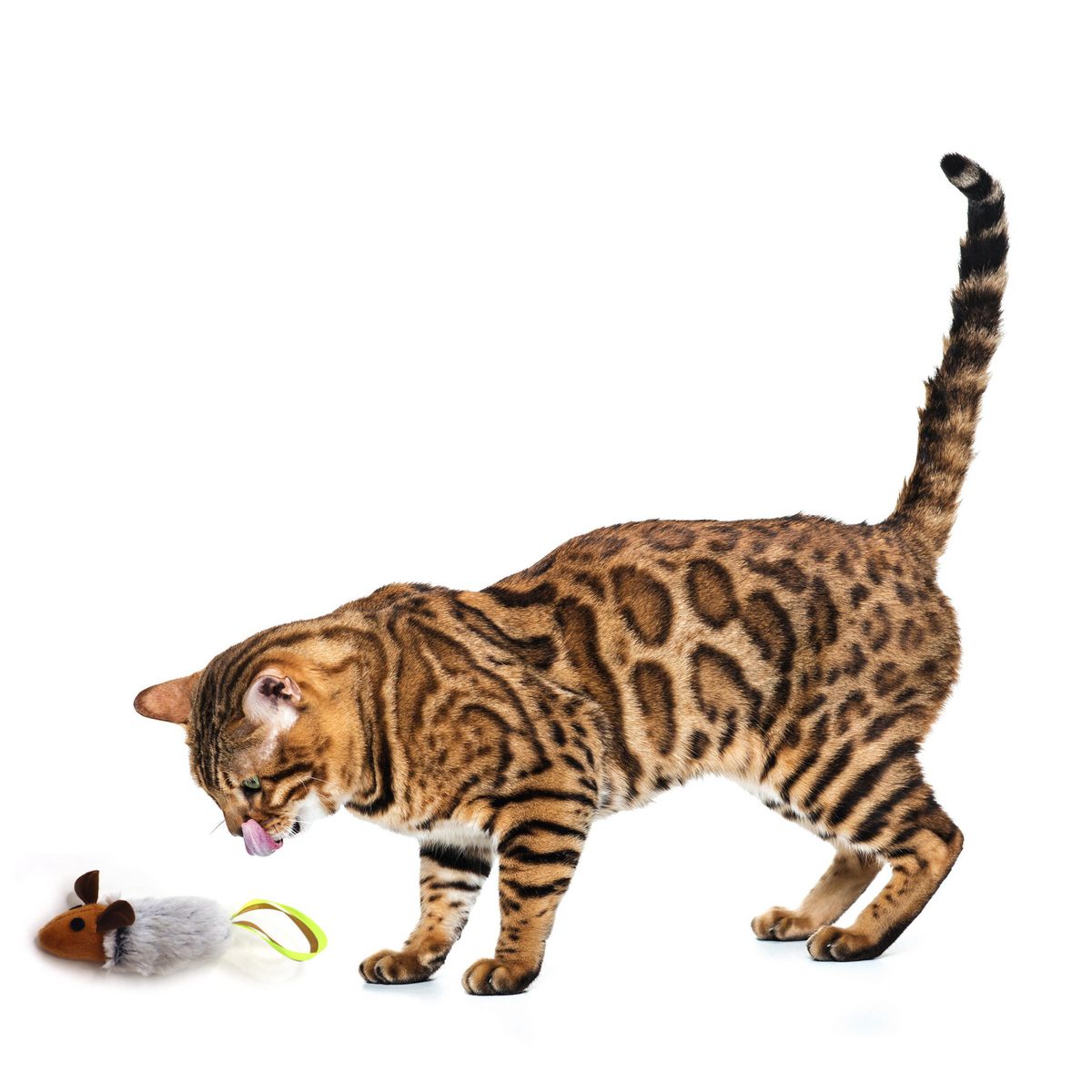 PETIZOOS - Juguete Ratón para Gato 2 Colas