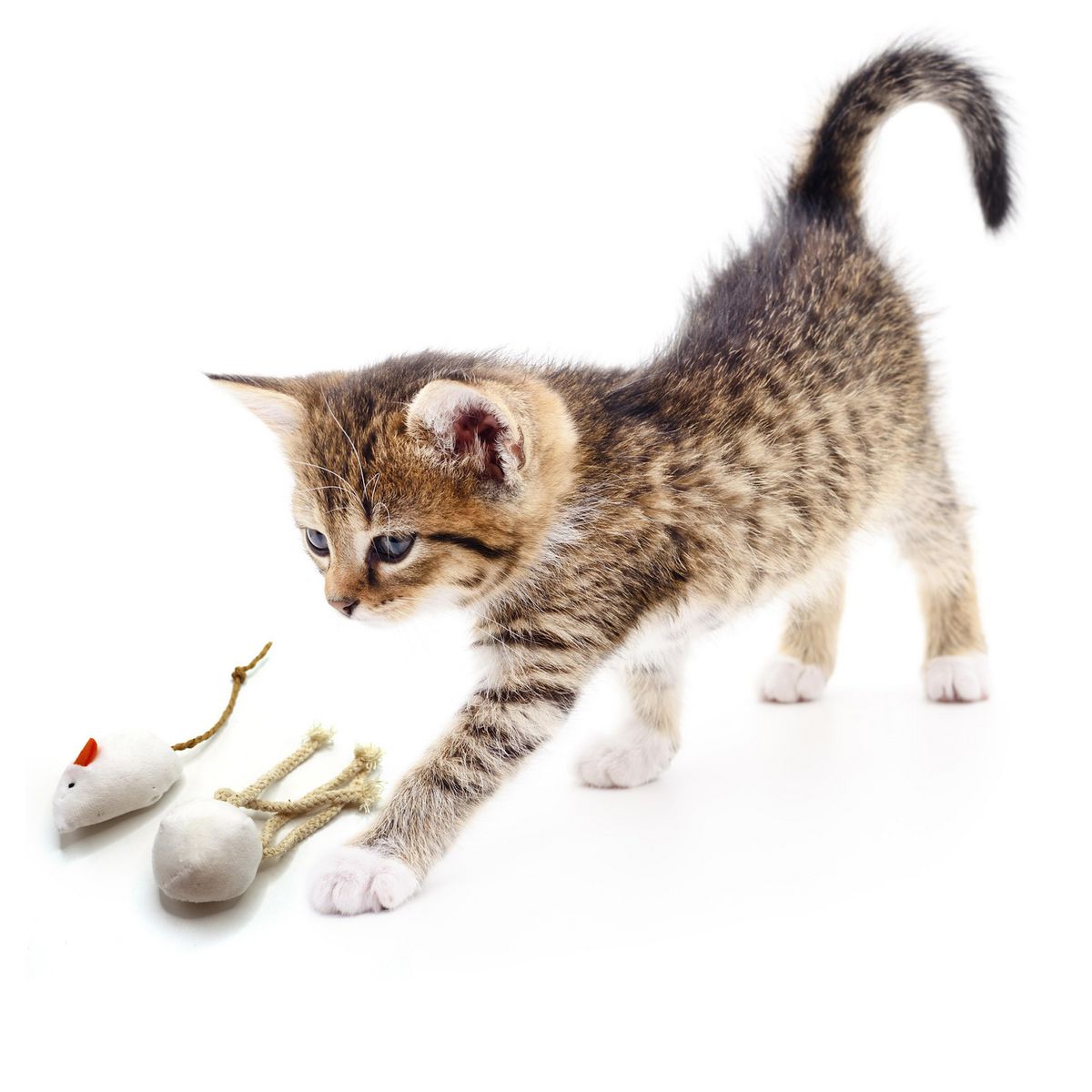 PETIZOOS - Juguete Ratón para Gato Blanco 2 Piezas