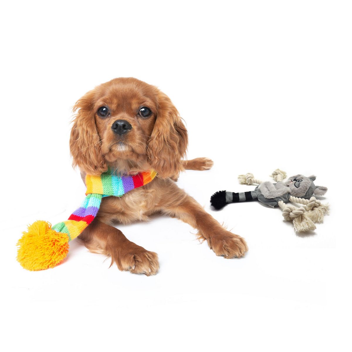 PETIZOOS - Juguete para Perro Mapache