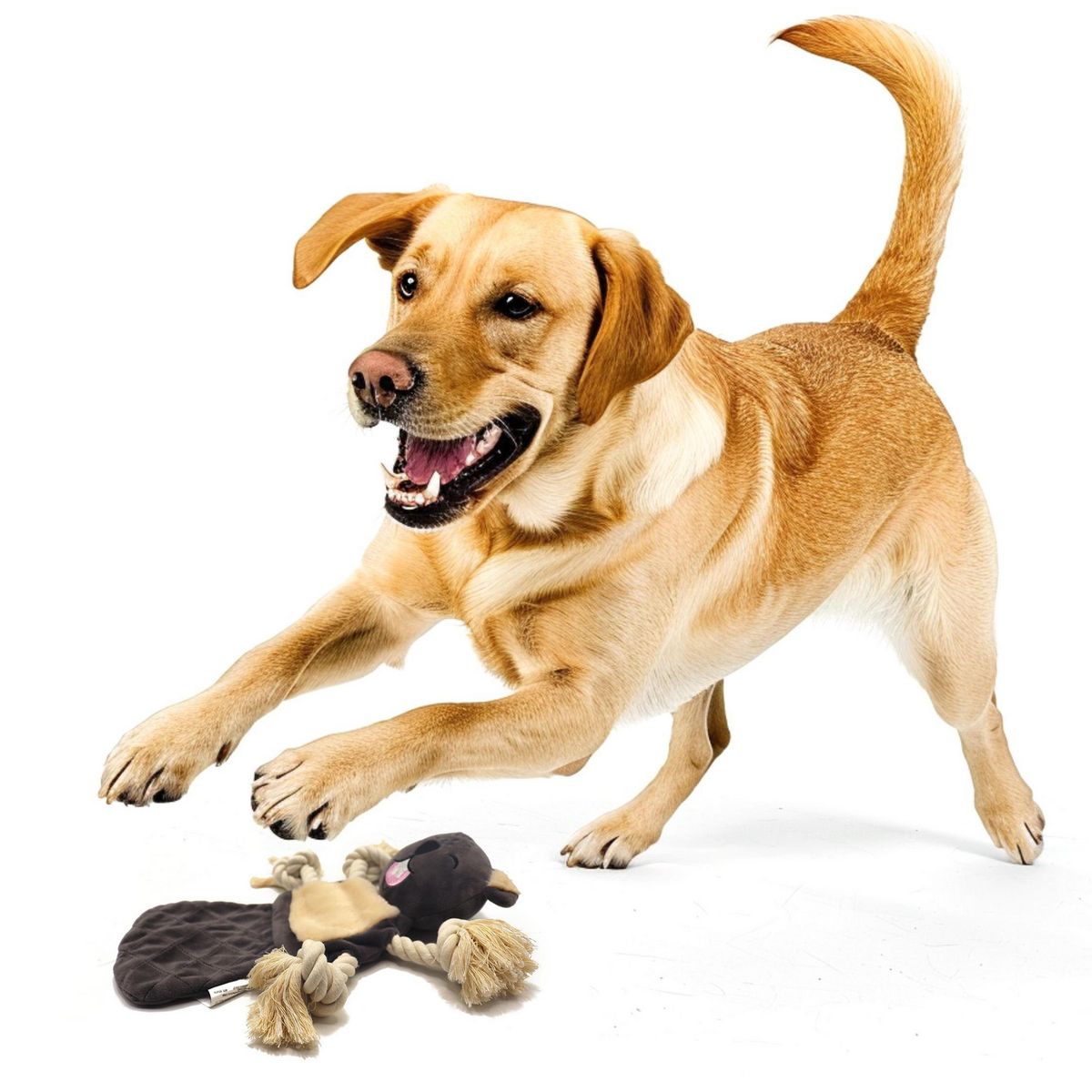 PETIZOOS - Juguete para Perro Oso