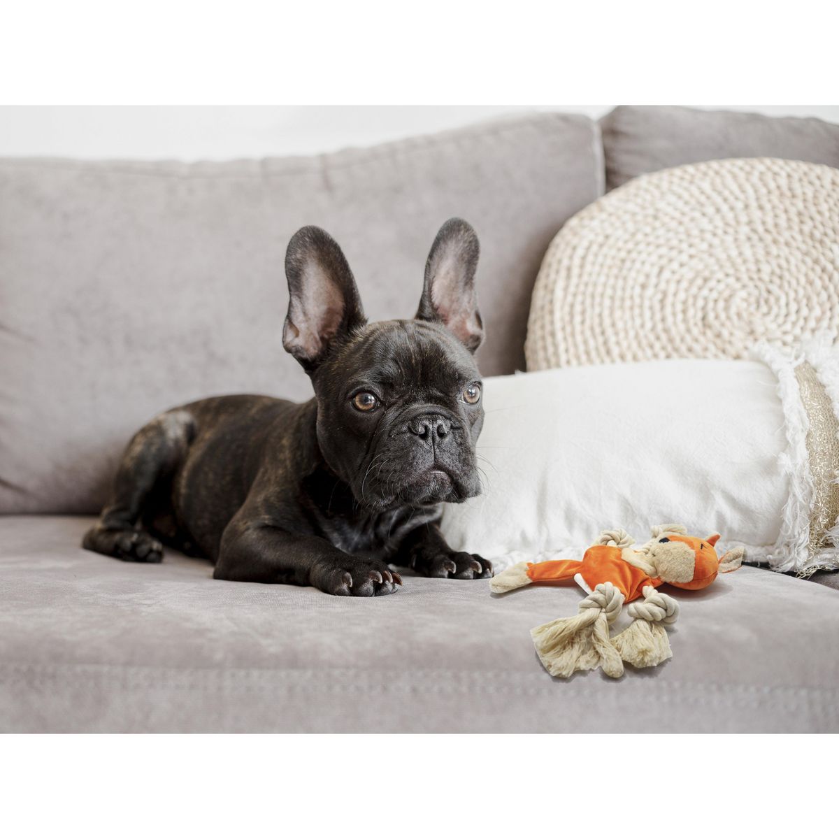 PETIZOOS - Juguete para Perro Zorro