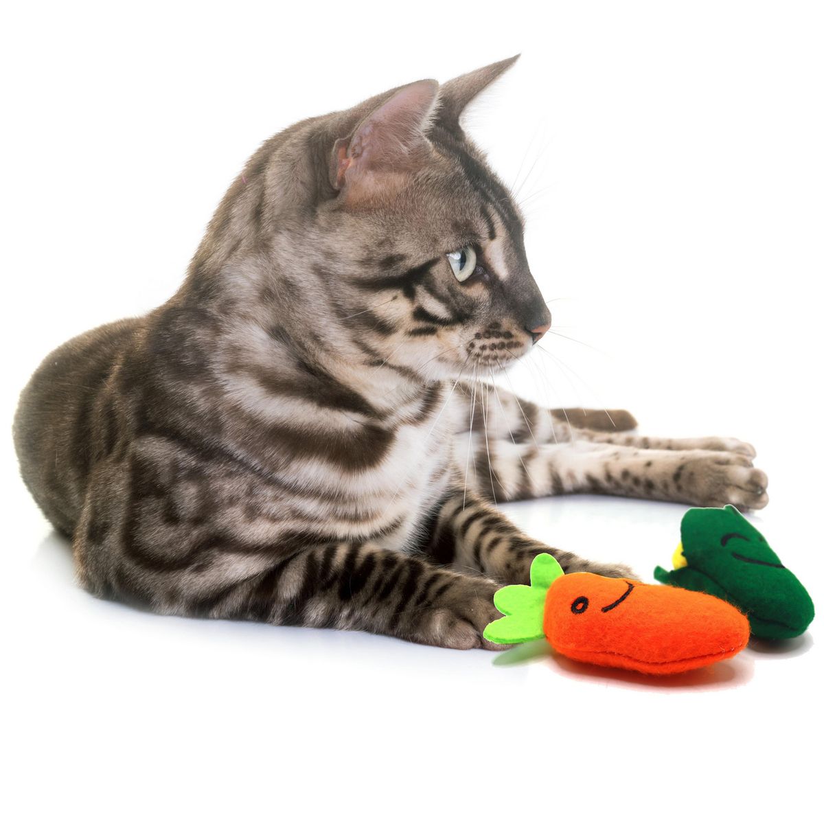 PETIZOOS - Juguete de Verdura para Gatos 2 Unidades