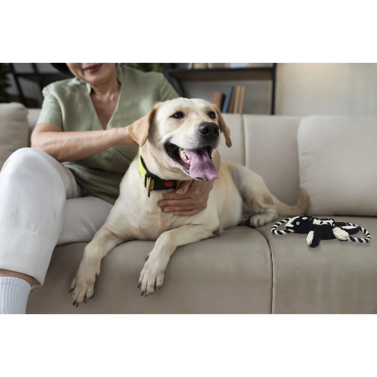 PETIZOOS - Juguete para Perro Zorrillo