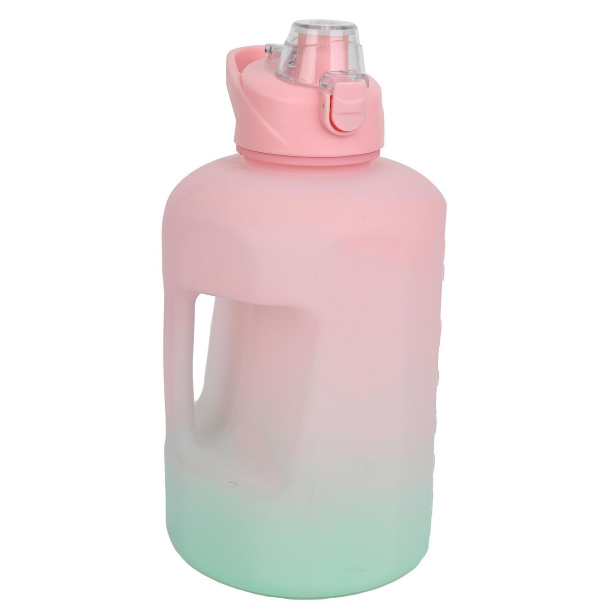 JUST HOME COLLECTION - Tomatodo Con Asa 2.6L