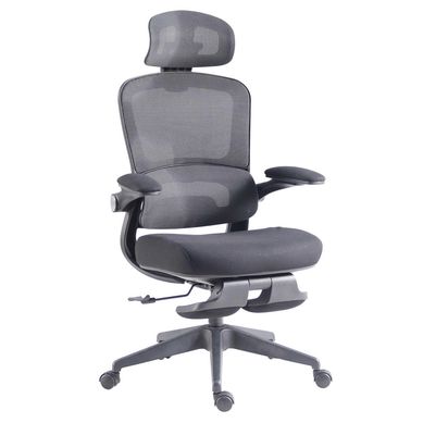 Silla Ergon�mica De Escritorio Mendoza